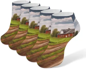 5 Pairs Ankle Socks Soft Breathable No Show Socks Comfortable Cotton Low Cut Casual Socks for Women Men Country Road with Farm And Tractor