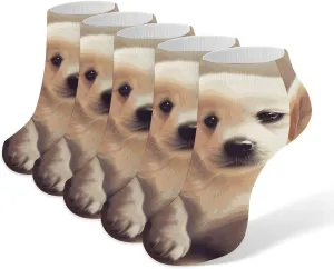 5 Pairs Ankle Socks Soft Breathable No Show Socks Comfortable Cotton Low Cut Casual Socks for Women Men Cute Dog