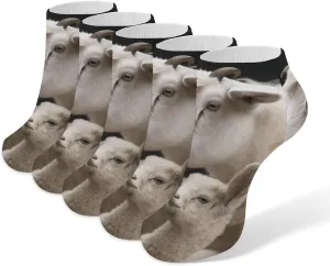 5 Pairs Ankle Socks Soft Breathable No Show Socks Comfortable Cotton Low Cut Casual Socks for Women Men Cute Sheep with Mother