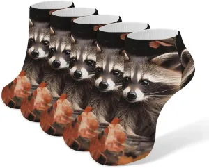 5 Pairs Ankle Socks Soft Breathable No Show Socks Comfortable Cotton Low Cut Casual Socks for Women Men Raccoon in The Fall Tree Hole